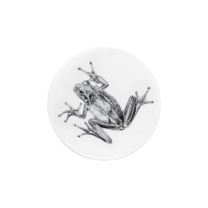 Deckel / Untersetzer weißes Porzellan mit Abb. Frosch in schwarz