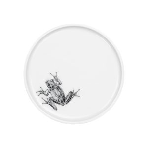 Teller weißes Porzellan mit Abbildung Frosch in schwarz