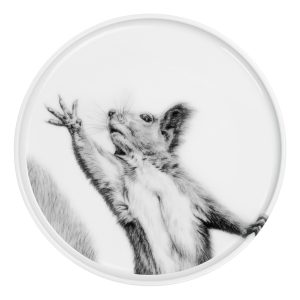 Teller 28 cm, weißes Porzellan mit Abbildung Eichhörnchen, was nach oben greift in schwarz