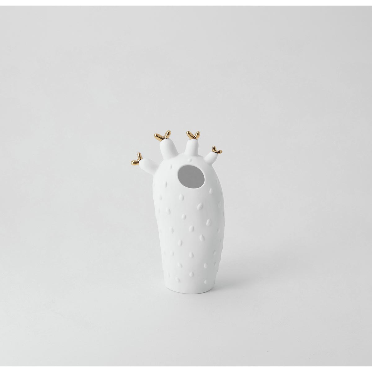 Räder Vase Korallenkaktus – Bild 2