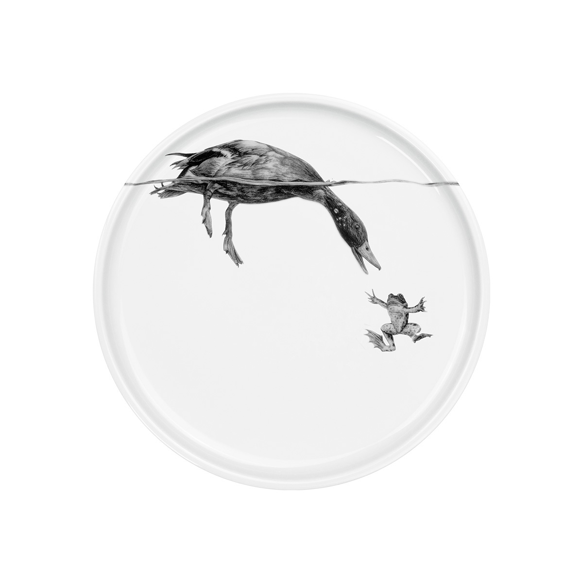 Teller weißes Porzellan mit Druck Ent abtauchend und Frosch schwimmend am oberen Tellerrand