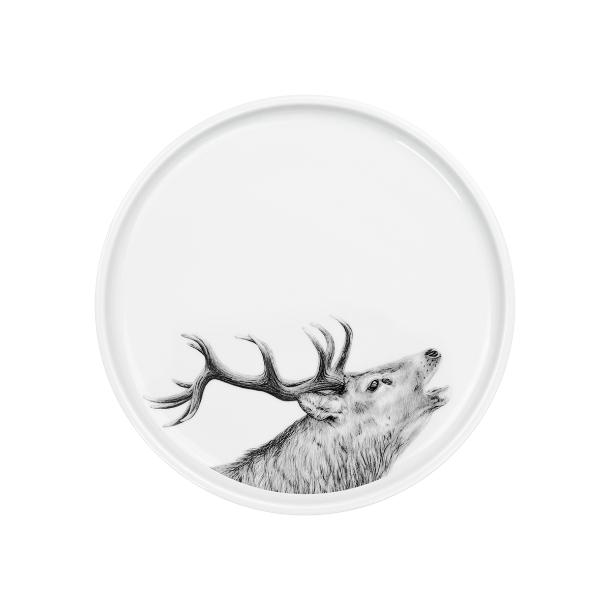 Teller weißes Porzellan mit Druck röhrender Hirsch vom unteren Tellerrand ausgehend