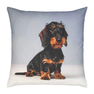 Kissenhülle blaugrau mit leichtem Farbverlauf, beidseitig mit Druck eines sitzenden ungen Rauhaardackels